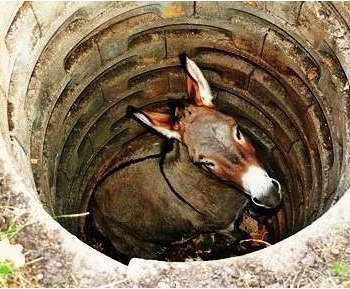 ​Пять простых правил для жизни, или притча про старого ослика