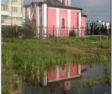 Церковь Александра Невского в Куркино