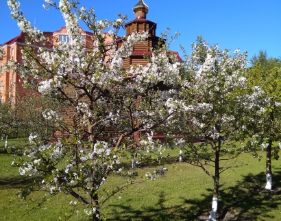 Храм Покрова Пресвятой Богородицы