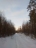 Храм Всех Святых, в земле Российской просиявших
