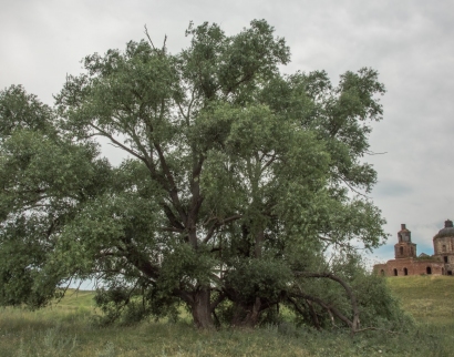 Храм Благовещения Пресвятой Богородицы
