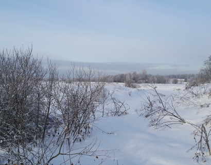 Собор Рождества Богородицы Медведевой Пустыни