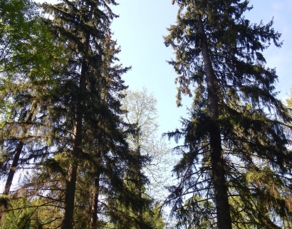 Часовня