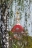 Церковь Воскресения Словущего