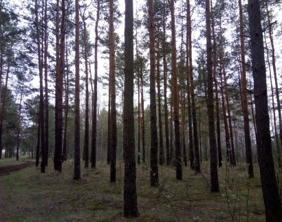 Капліца на могілках