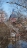 Покровская Церковь