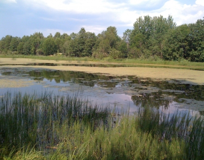 Церковь