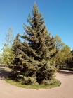 Церковь Всех Святых