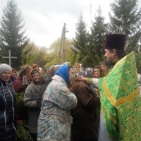 Вербная неделя, 2016