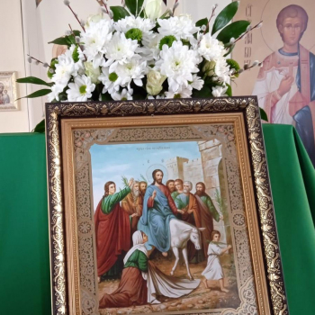 ВХОД ГОСПОДЕНЬ В ИЕРУСАЛИМ